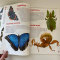 Велика книжка. Комахи.