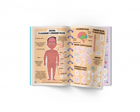 Меганаліпки. Тіло людини (18стр)