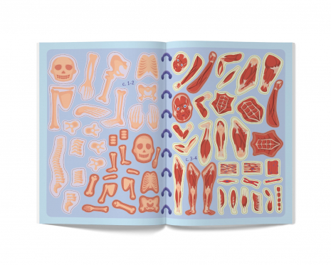 Меганаліпки. Тіло людини (18стр)