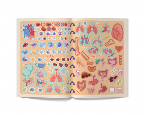 Меганаліпки. Тіло людини (18стр)