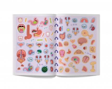 Меганаліпки. Тіло людини (18стр)