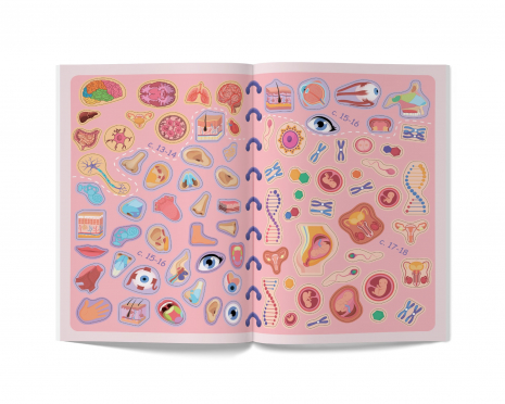 Меганаліпки. Тіло людини (18стр)