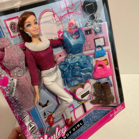 Лялька шарнірна з одягом та аксесуарами HB878-2