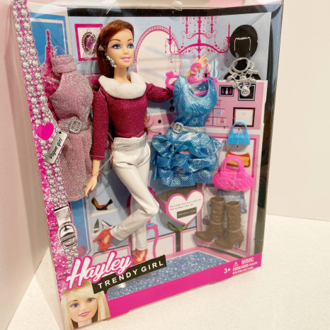 Лялька шарнірна з одягом та аксесуарами HB878-2