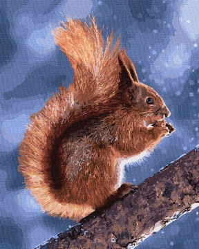 Картина за номерами "Маленька білочка", Ідейка, KHO4205