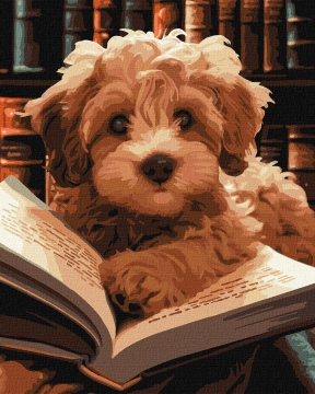 Картина по номерам "Пушистый читатель", Ideyka, сложность ***, 40х50см