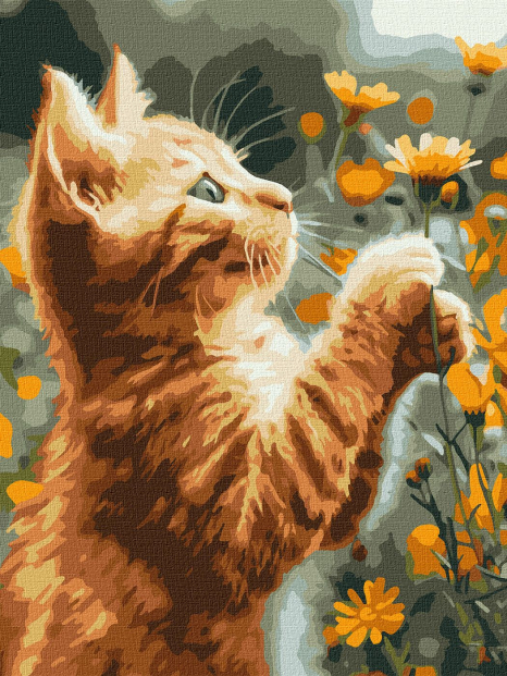 Картина по  номерах Рудий пухнастик KHO6607 30х40см Ідейка