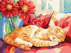 Картина по номерах "Денний сон" (30х40см) Ideyka