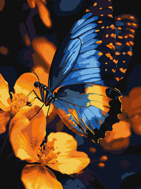 Картина по номерам - Мерцание крыльев, сложность ***, 30х40см, Ideyka