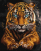 Картина за номерами "Дикий тигр", Ideyka, 40x50см