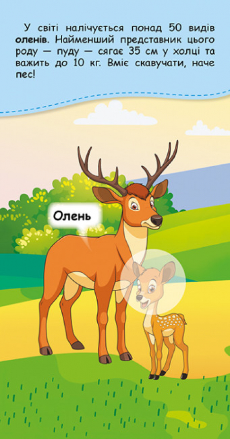 Книжка у кишеню з наліпками. Де чий малюк? (Укр) КН1685001У Кенгуру