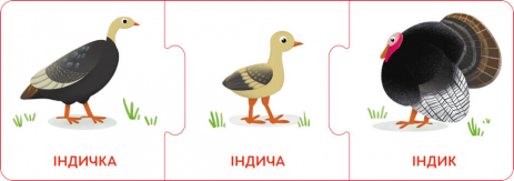 Настольная игра. Логические цепочки. Малыши животные и их семьи (укр) КЕНГУРУ КН1782001У