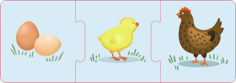 Настільна гра. Логічні ланцюжки. Тварини і рослини. Етапи розвитку (укр) КН1782003У КЕНГУРУ