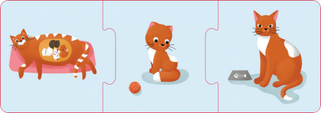 Настільна гра. Логічні ланцюжки. Тварини і рослини. Етапи розвитку (укр) КН1782003У КЕНГУРУ