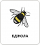 КЕНГУРУ Картки з піктограмами. Тварини (Укр)