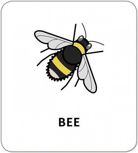 КЕНГУРУ Картки з піктограмами. Тварини (Укр)