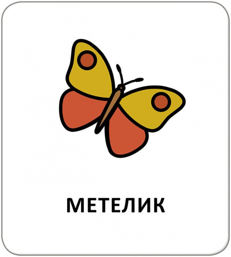 КЕНГУРУ Картки з піктограмами. Тварини (Укр)