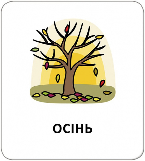 Картки з піктограмами. Природні явища. Пори року (Укр) Кенгуру КН1914009УА