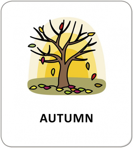 Картки з піктограмами. Природні явища. Пори року (Укр) Кенгуру КН1914009УА