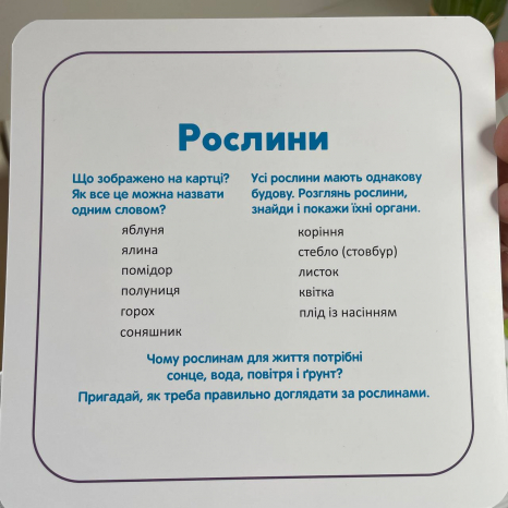 Развивающие карты Школа Кенгуру. Развитие речи. В мире слов