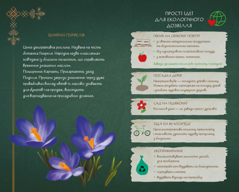 Щоденник Мавки. Осінь (Укр) ЛП1712001У