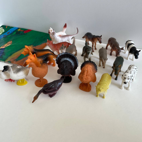 Фігурки  тварин Ферма (свійські тварини) 20 штук в наборі HU M 0256 U/R