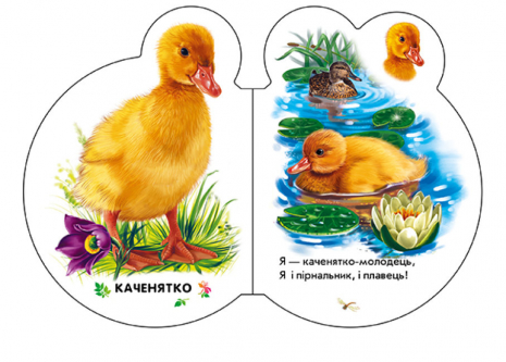 Книга - картонка: Малята : У селі + Аудіо-бонус (укр) Ірина Сонечко Ранок  М411016У