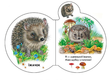 Книга - картонка Малята  У лісі  + аудіо-бонус (укр) І.Сонечко М411017У