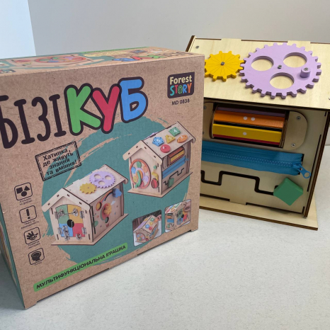 Дитячий розвиваючий Бізікуб будиночок MD 0838