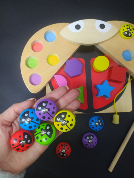 Дерев'яна іграшка Центр розвиваючий Комашка Сонечко сортер та магнітна рибаловля, MD 1876