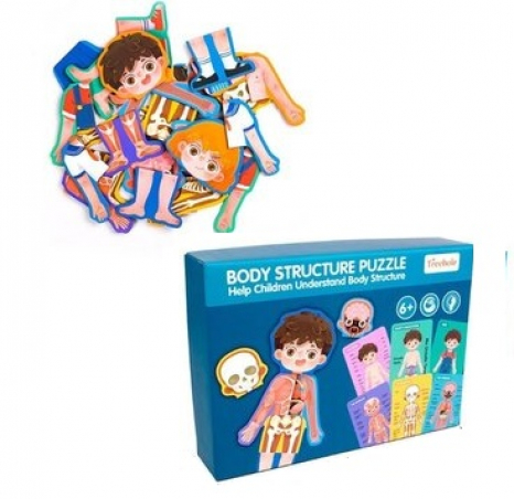 Картонний пазл Будова людини Хлопчик, тіла, Анатомія, MD 2308