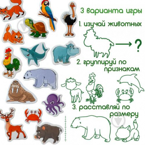 Набір магнітів "Тварини" ML4031-16 EN