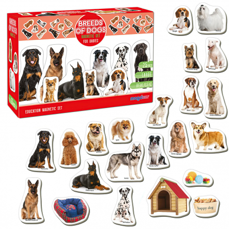 Набор магнитов "Породы собак", Magdum, ML4031-20EN