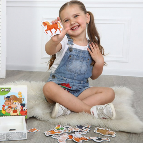 Набір магнитів "Ферма Сімейки" ML4031-21 EN