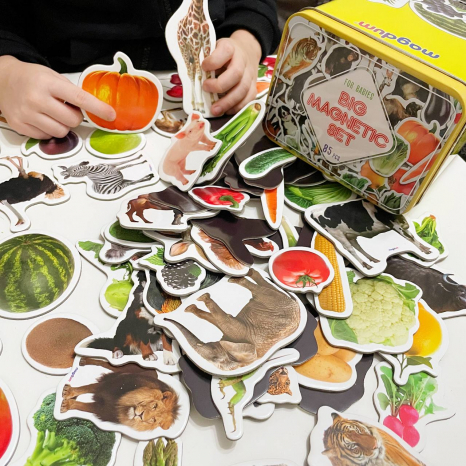 Подарунковий набір магнітів (англ.): тварини, фрукти та овочі , 85 штук в наборі ML 4031-61 EN