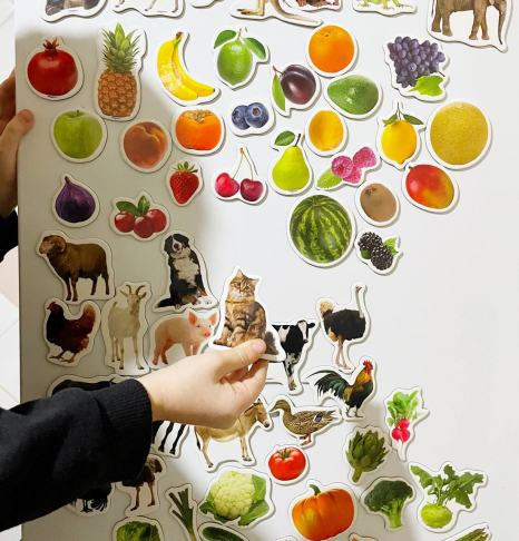 Подарунковий набір магнітів (англ.): тварини, фрукти та овочі , 85 штук в наборі ML 4031-61 EN