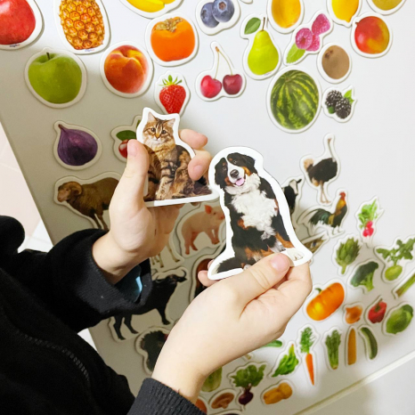 Подарунковий набір магнітів (англ.): тварини, фрукти та овочі , 85 штук в наборі ML 4031-61 EN