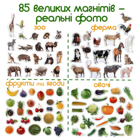 Подарунковий набір магнітів (англ.): тварини, фрукти та овочі , 85 штук в наборі ML 4031-61 EN