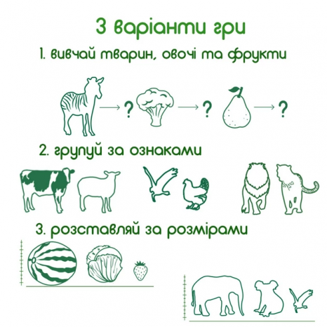 Подарунковий набір магнітів (англ.): тварини, фрукти та овочі , 85 штук в наборі ML 4031-61 EN