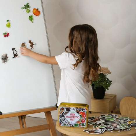 Подарунковий набір магнітів (англ.): тварини, фрукти та овочі , 85 штук в наборі ML 4031-61 EN