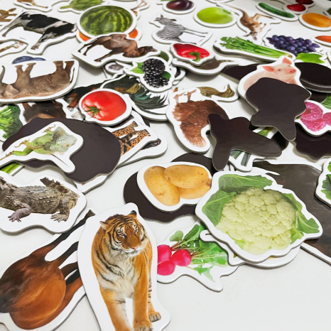 Подарунковий набір магнітів (англ.): тварини, фрукти та овочі , 85 штук в наборі ML 4031-61 EN