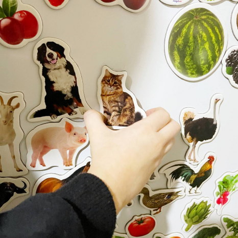 Подарунковий набір магнітів (англ.): тварини, фрукти та овочі , 85 штук в наборі ML 4031-61 EN