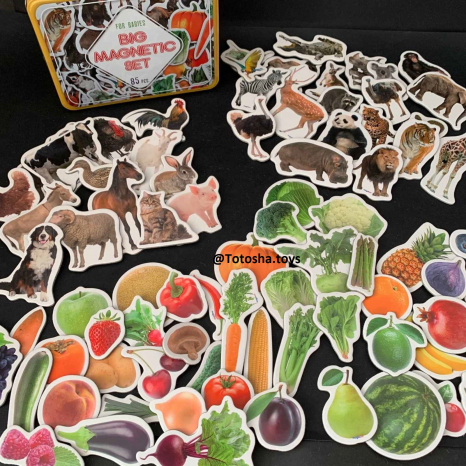 Подарунковий набір магнітів (англ.): тварини, фрукти та овочі , 85 штук в наборі ML 4031-61 EN
