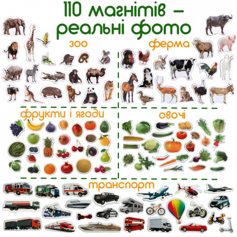 Подарунковий набір магнітів (тварини, транспорт, фрукти, овочі) 110 елементів Magdum ML4031-63 EN