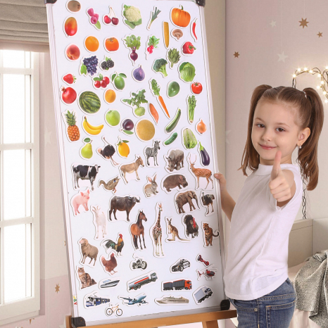 Подарунковий набір магнітів (тварини, транспорт, фрукти, овочі) 110 елементів Magdum ML4031-63 EN