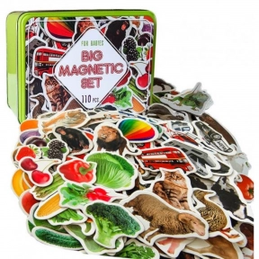 Подарочный набор магнитов (животные, транспорт, фрукты, овощи) 110 элементов Magdum ML4031-63 EN