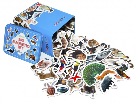 Подарунковий набір магнітів: тварини, птахи, морські мешканці 110 ел., Magdum. ML4032-24 EN