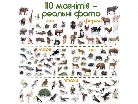 Подарунковий набір магнітів: тварини, птахи, морські мешканці 110 ел., Magdum. ML4032-24 EN