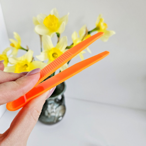 Набір пінцетів та піпетка