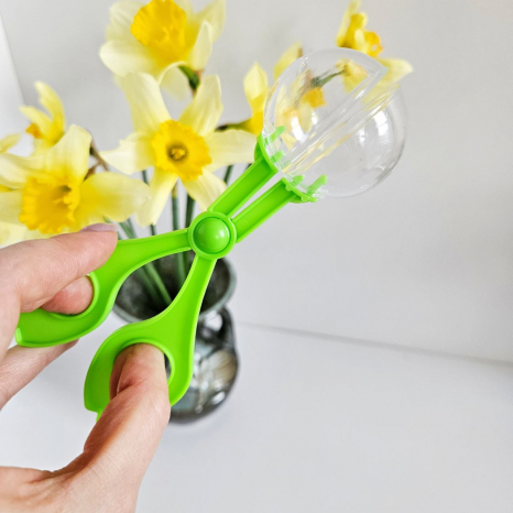 Набір пінцетів та піпетка